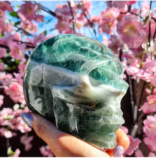 Green Fluorite Skull