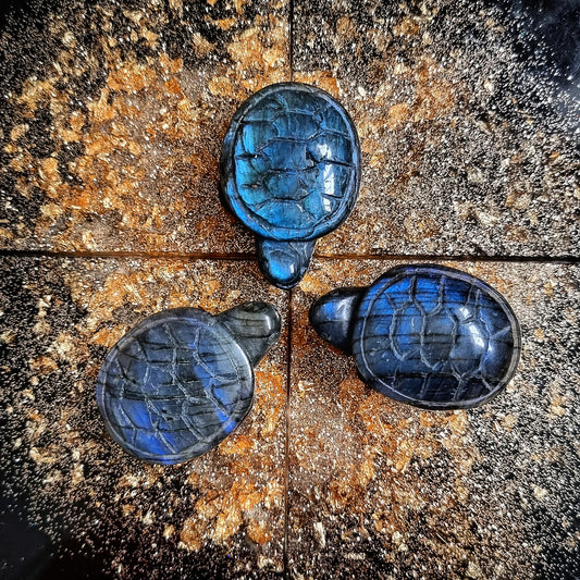 Mini Labradorite Turtle