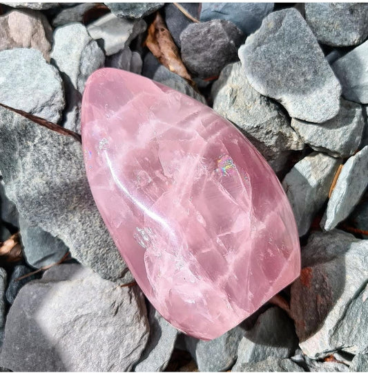 Rose Quartz Free Form