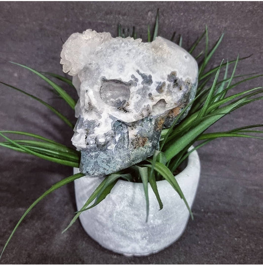 Moss Agate Geode Quartz Skull