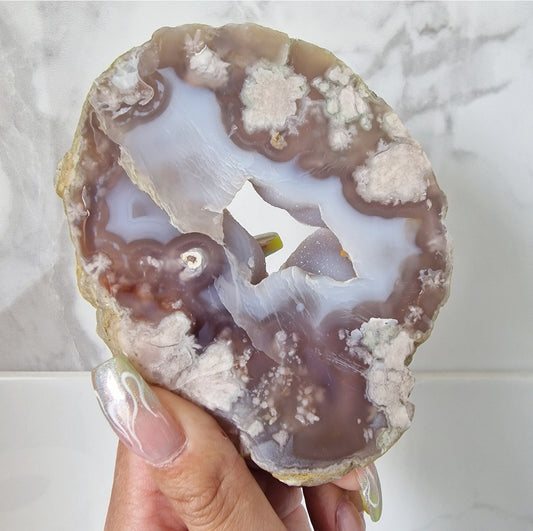 Druzy Blue Flower Agate Slab